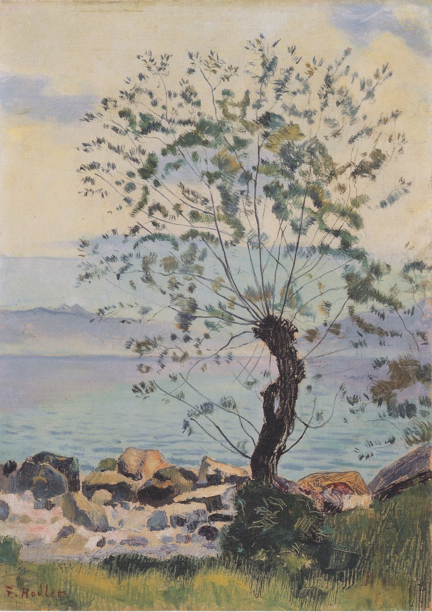 Weidebaum am See autorstwa Ferdinand Hodler
