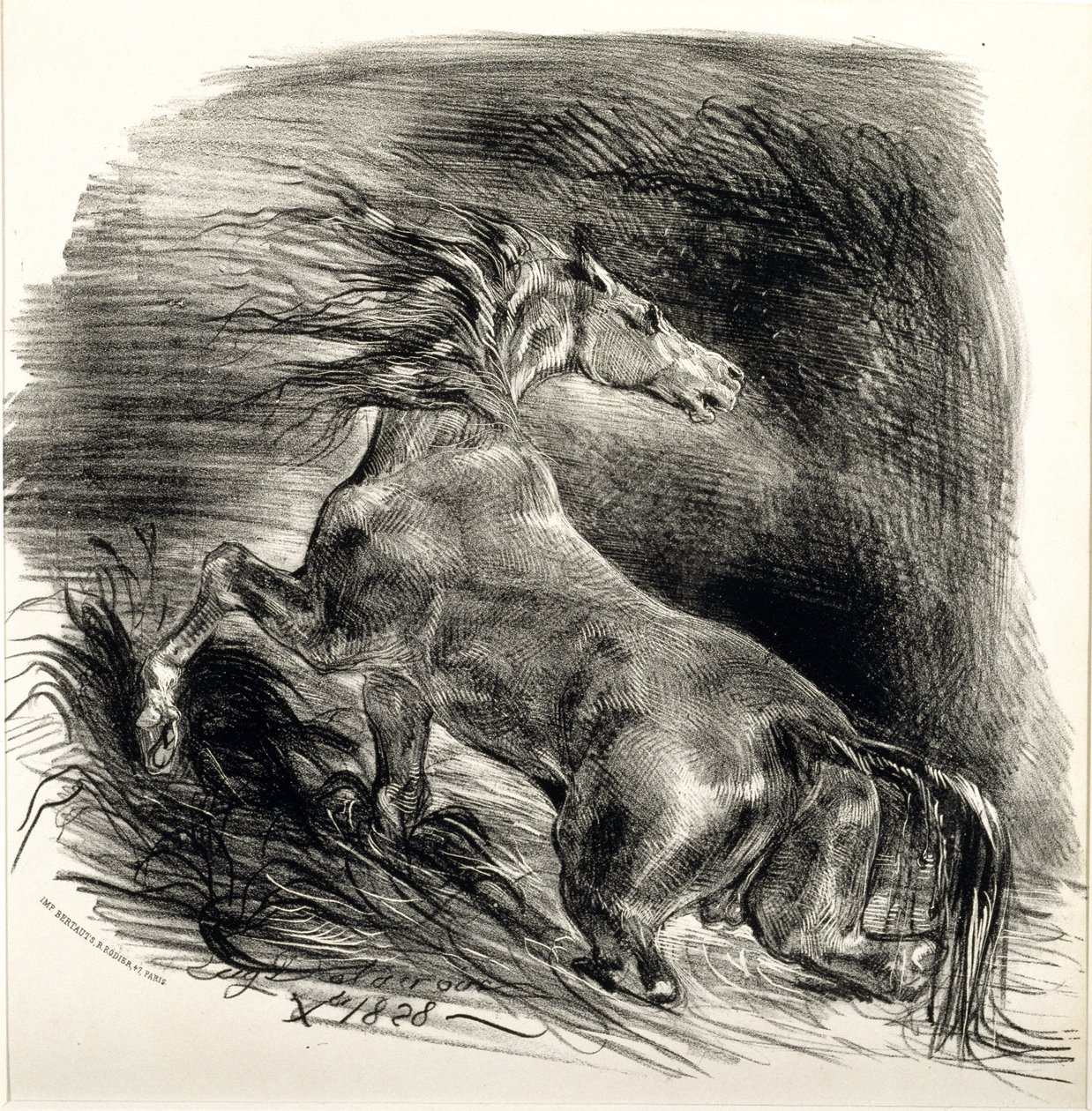 Sauvage Cheval, 1828 (lit na papierze tkanym) autorstwa Ferdinand Victor Eugene Delacroix