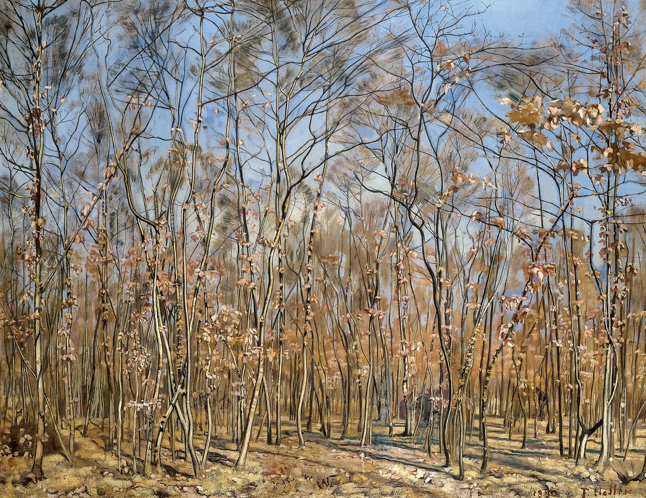 Las bukowy, 1885-1894 . autorstwa Ferdinand Hodler