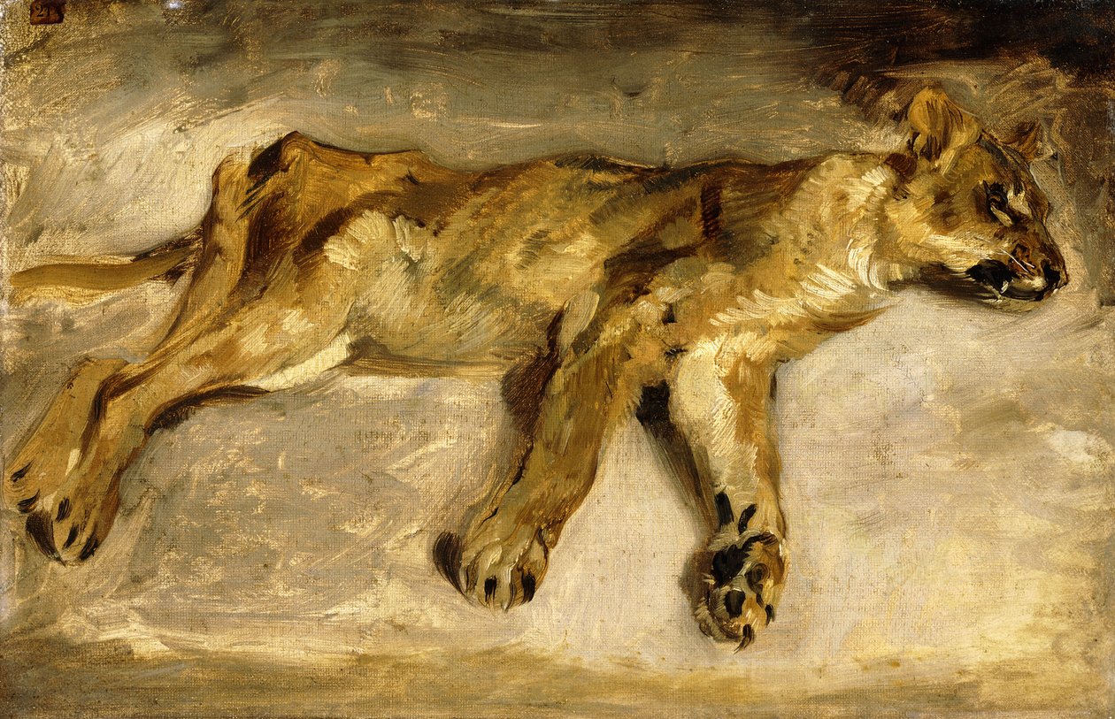 Śpiąca lwica, ok. 1830 r. autorstwa Ferdinand Victor Eugene Delacroix