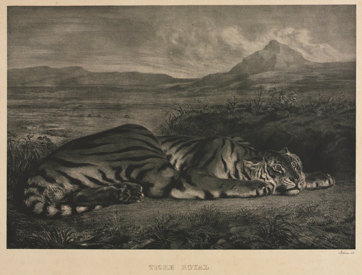 Królewski tygrys, 1829. autorstwa Ferdinand Victor Eugene Delacroix