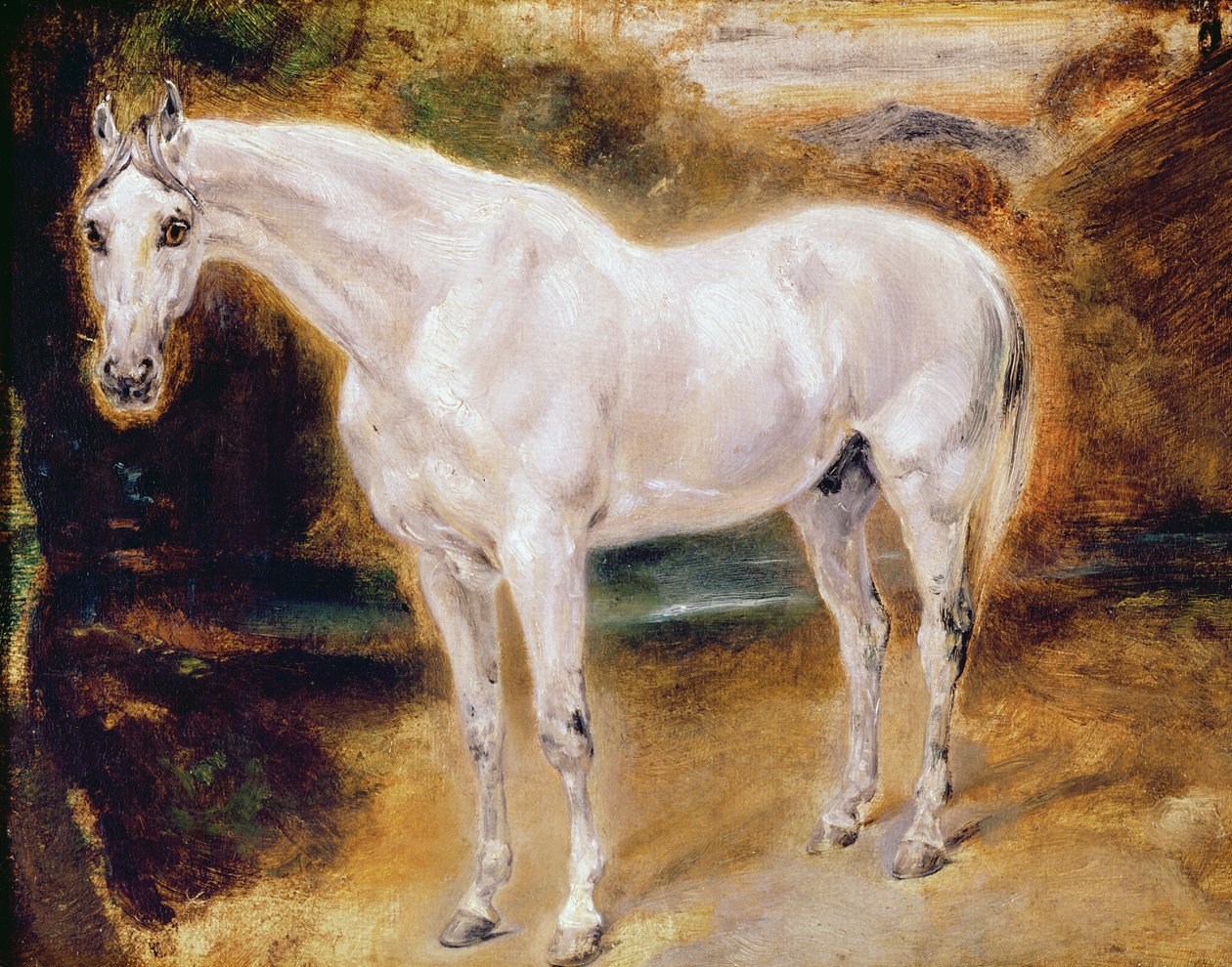 Biały Koń autorstwa Ferdinand Victor Eugene Delacroix