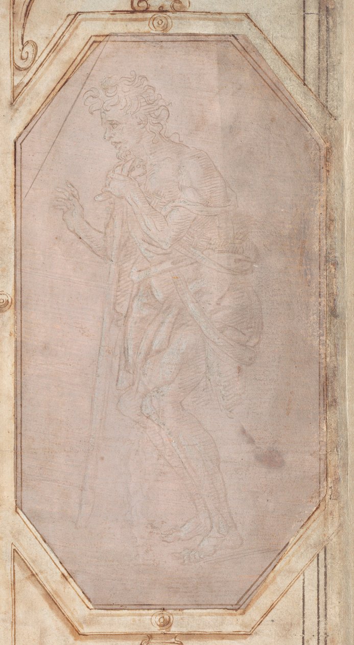 Człowiek z kijem autorstwa Filippino Lippi