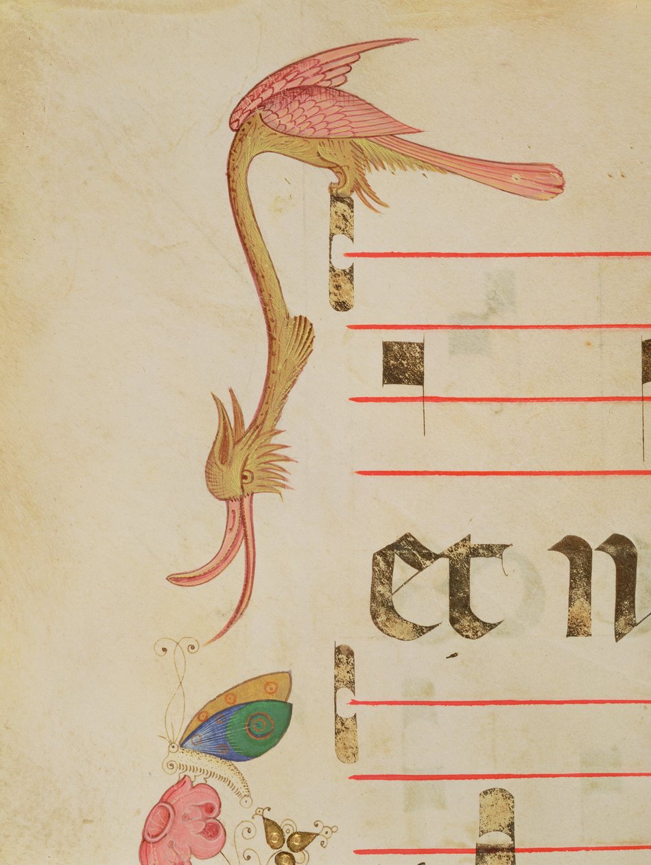 Mszał 515 f.9r Fantastyczny ptak polujący na motyla, fragment ozdobnej bordiury z Księgi Chóralnej wykonany przed 1449 r. autorstwa Filippo di Matteo Torelli