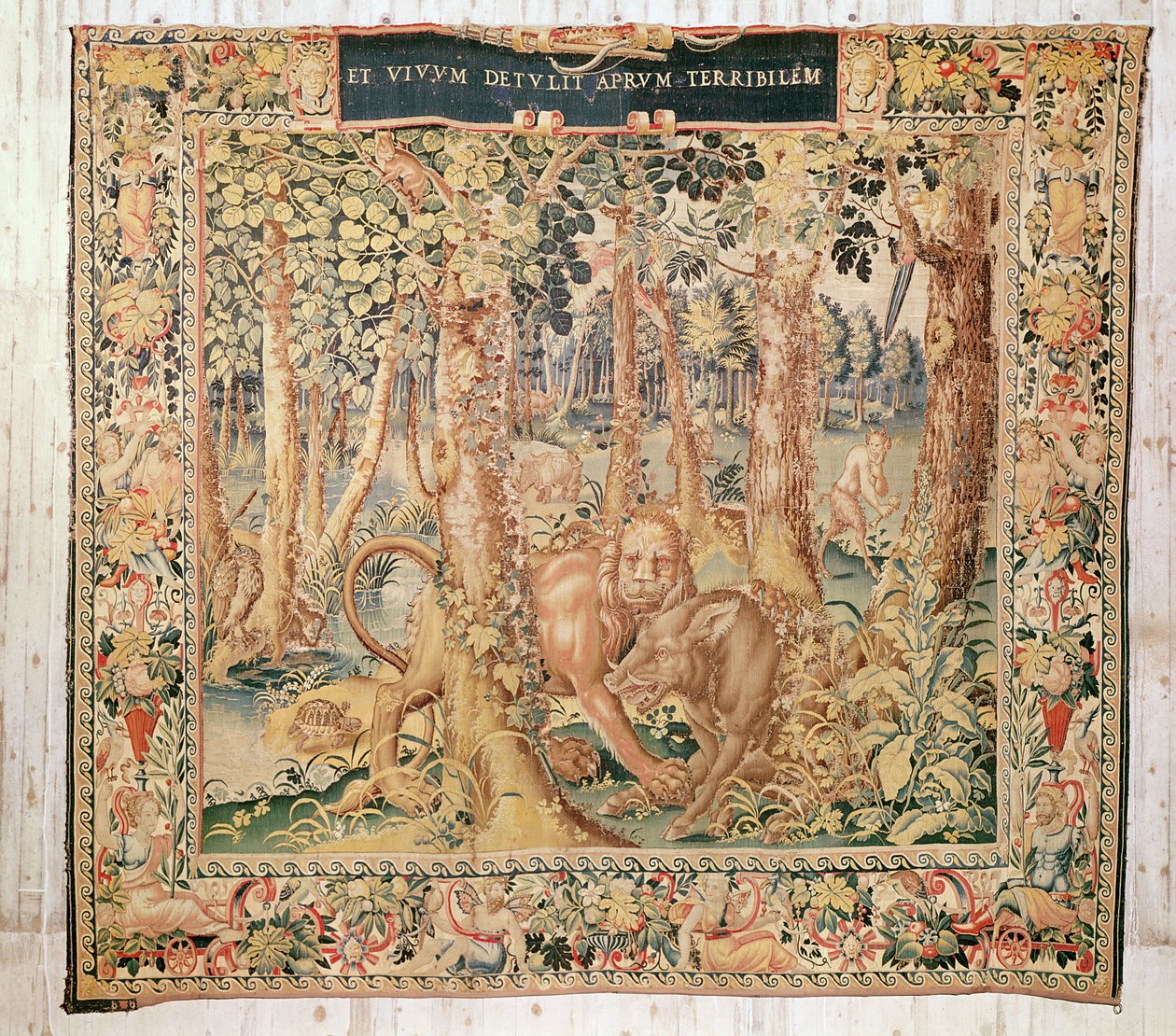 Dzik erymantyjski, po 1528 r. (gobelin) autorstwa Flemish School