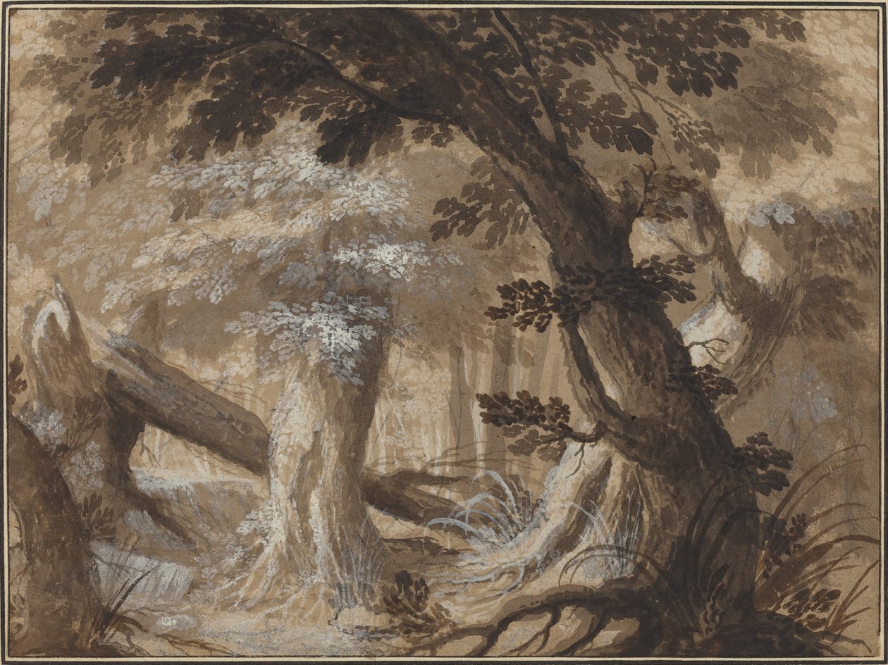 Wnętrze lasu autorstwa Flemish 17th Century
