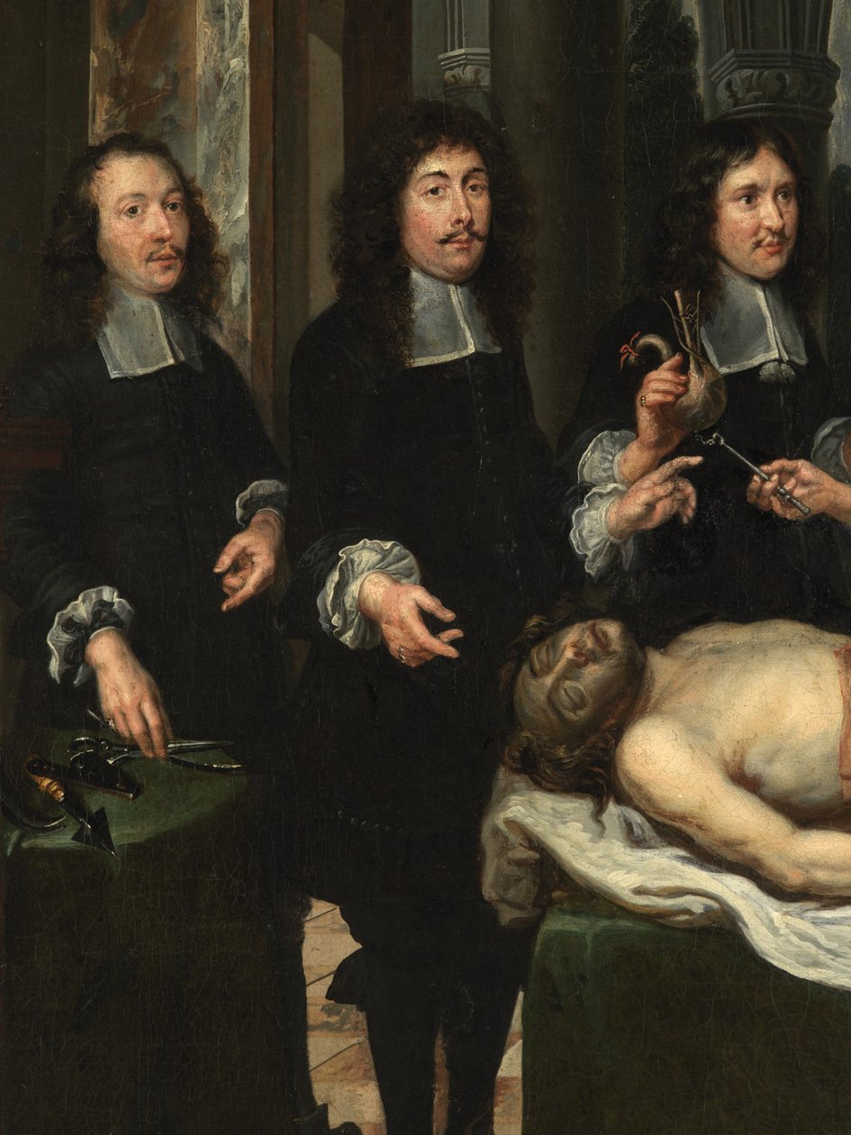 Detalhe da Lição de Anatomia (óleo sobre tela) polimento autorstwa Flemish School