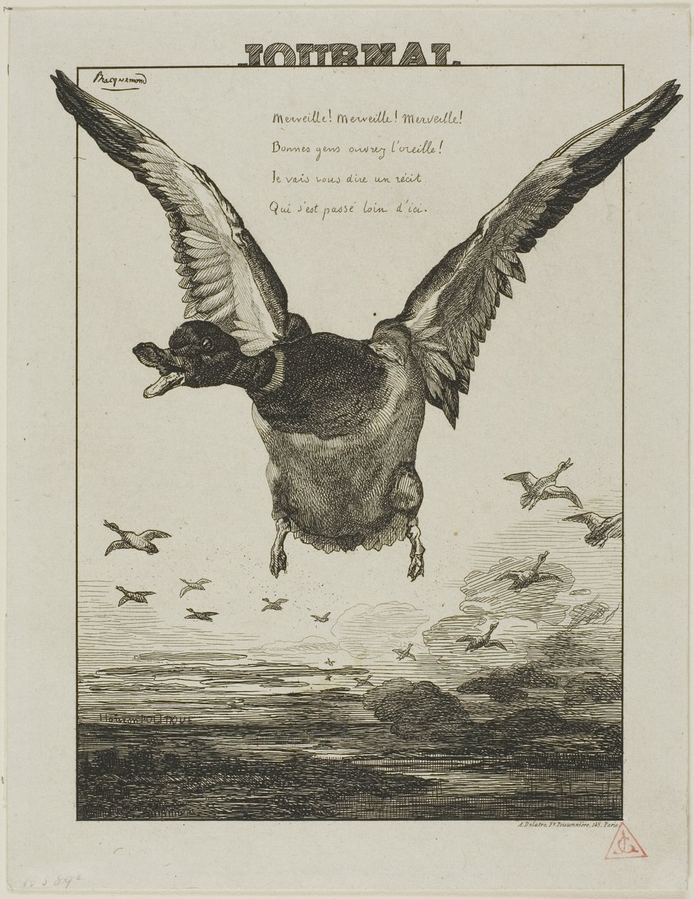 Kaczka autorstwa Félix Henri Bracquemond