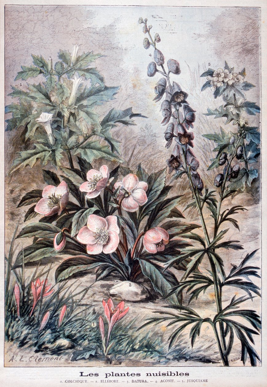 Rośliny szkodliwe, 1897 autorstwa Fortuné Méaulle