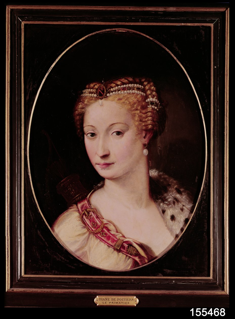 Diane de Poitiers (1499-1566) (olej na łupku) autorstwa Francesco Primaticcio
