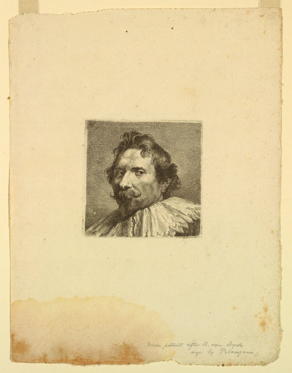 Portret męski autorstwa Francesco (Felice) Polanzani