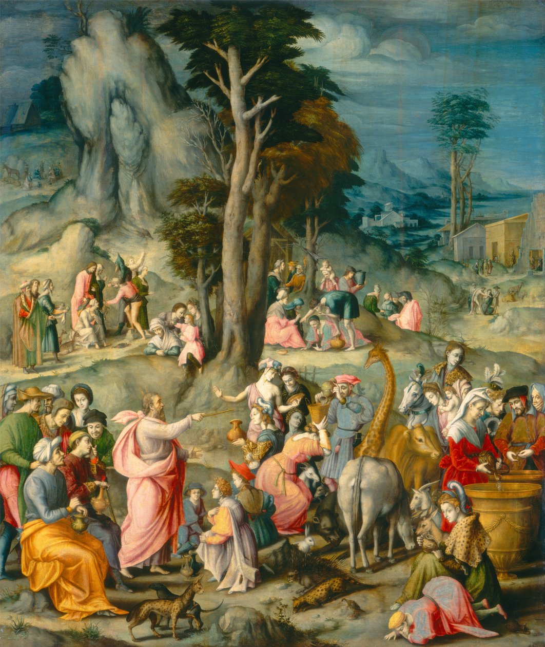 Zbieranie manny autorstwa Francesco Ubertini Bacchiacca