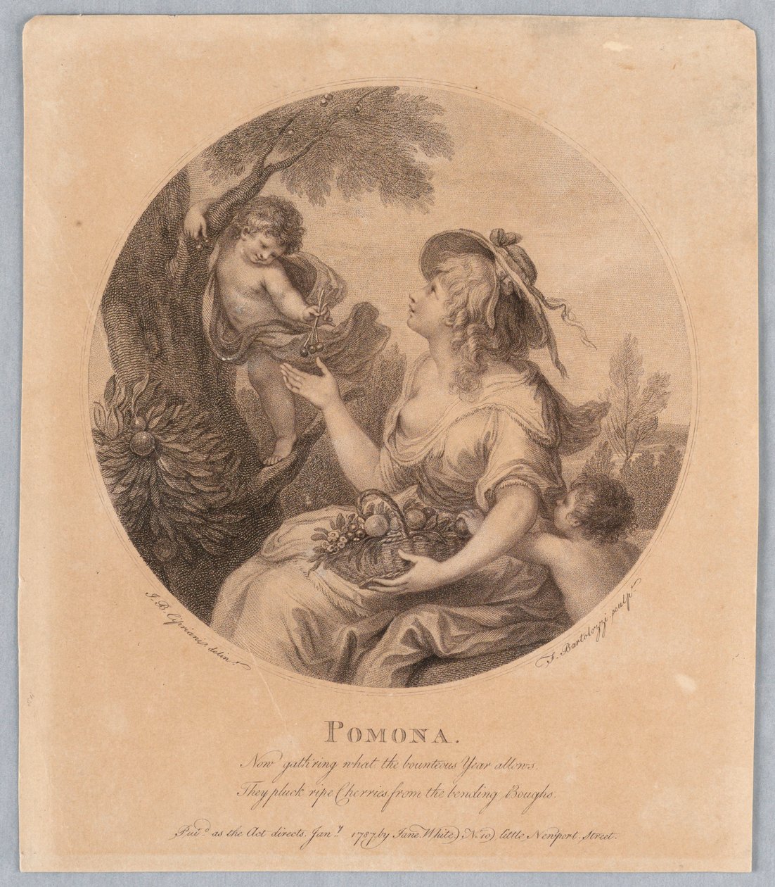 Pomona autorstwa Francesco Bartolozzi