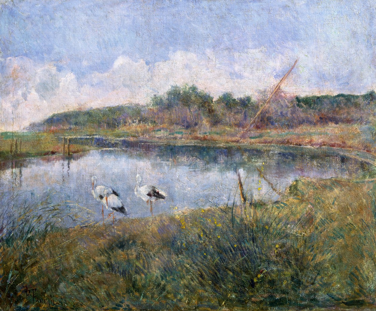 Massaciuccoli autorstwa Francesco Fanelli