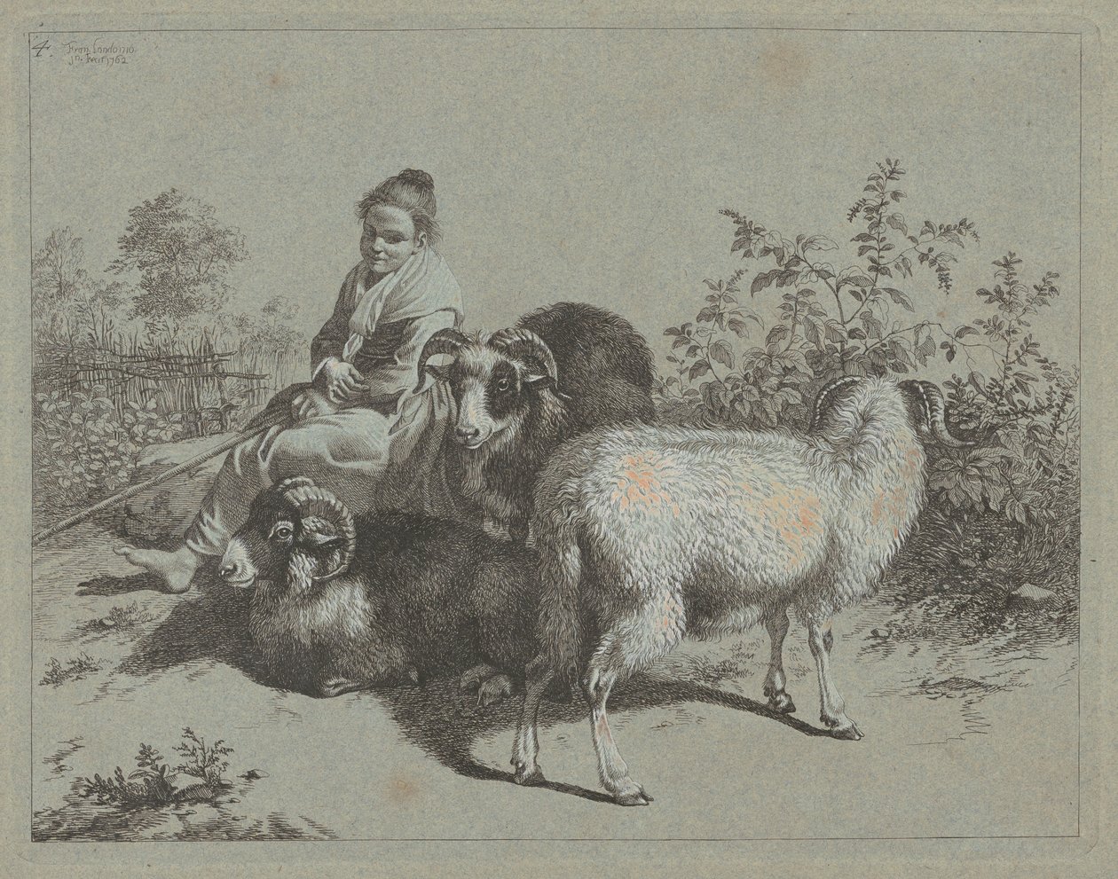 Siedząca pasterka z trzema baranami, 1762. autorstwa Francesco Londonio