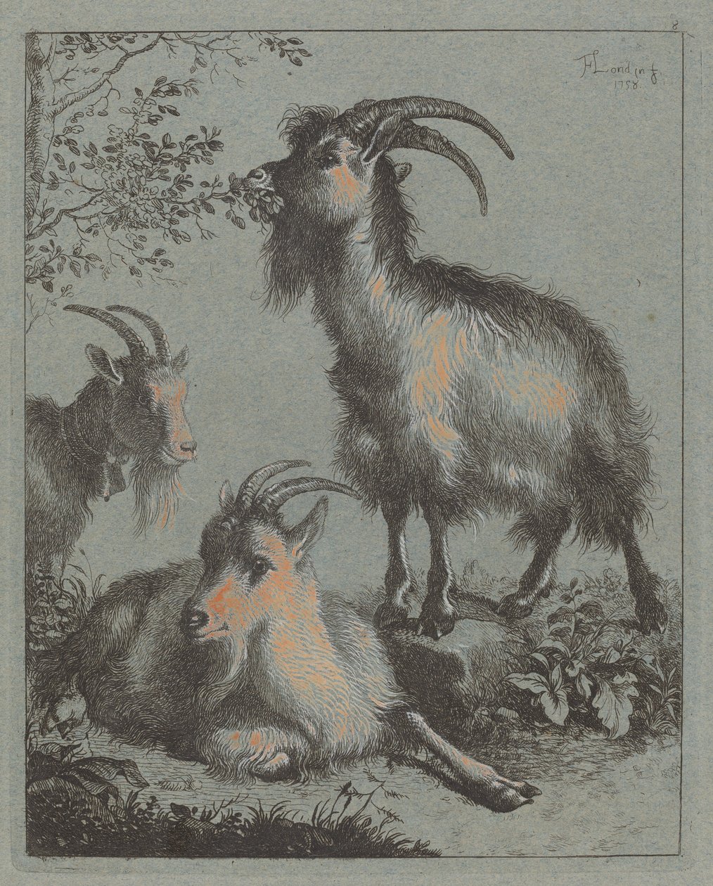 Trzy Kozy, 1758. autorstwa Francesco Londonio