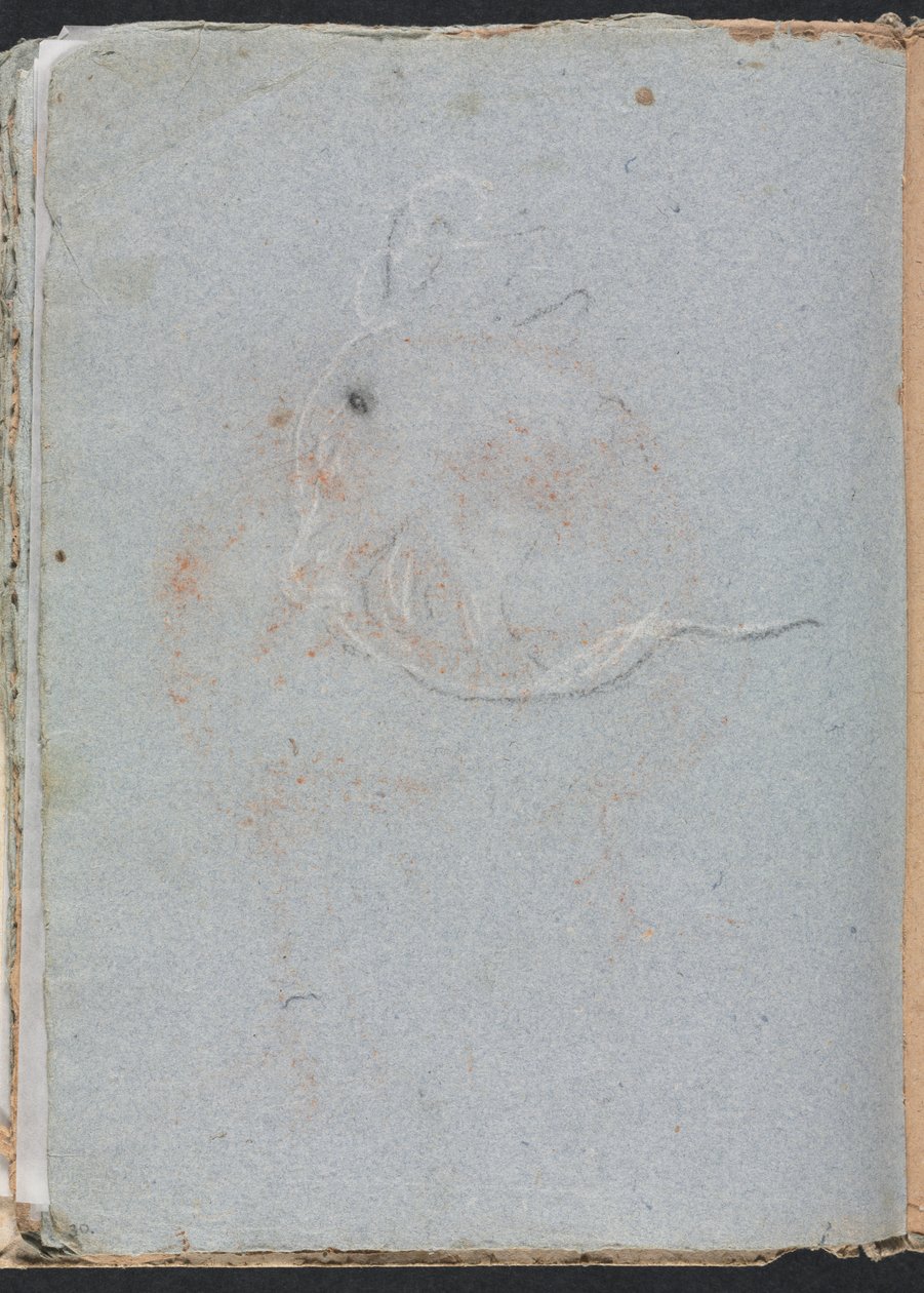 Szkicownik werona: strona głowy 30, 1760. autorstwa Francesco Lorenzi