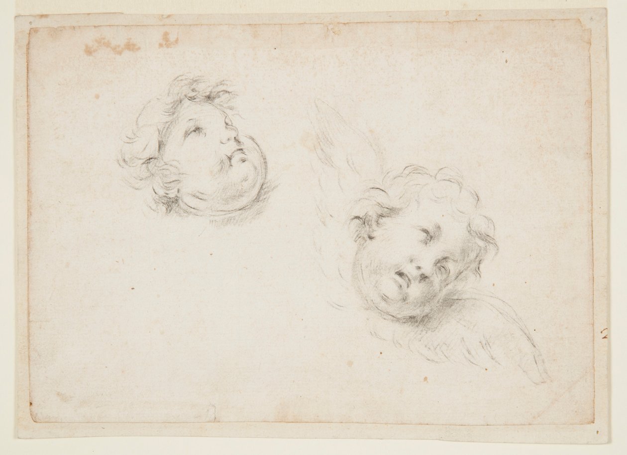 Studium dla dwóch cherubinów autorstwa Francesco Solimena