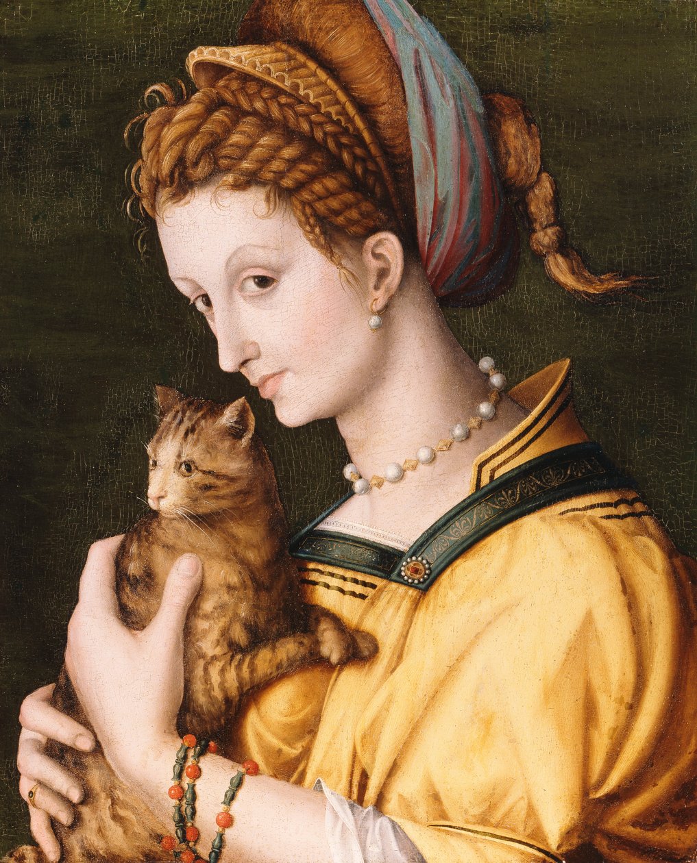 Dama z kotem, ok.1525-30 autorstwa Francesco Ubertini Bacchiacca