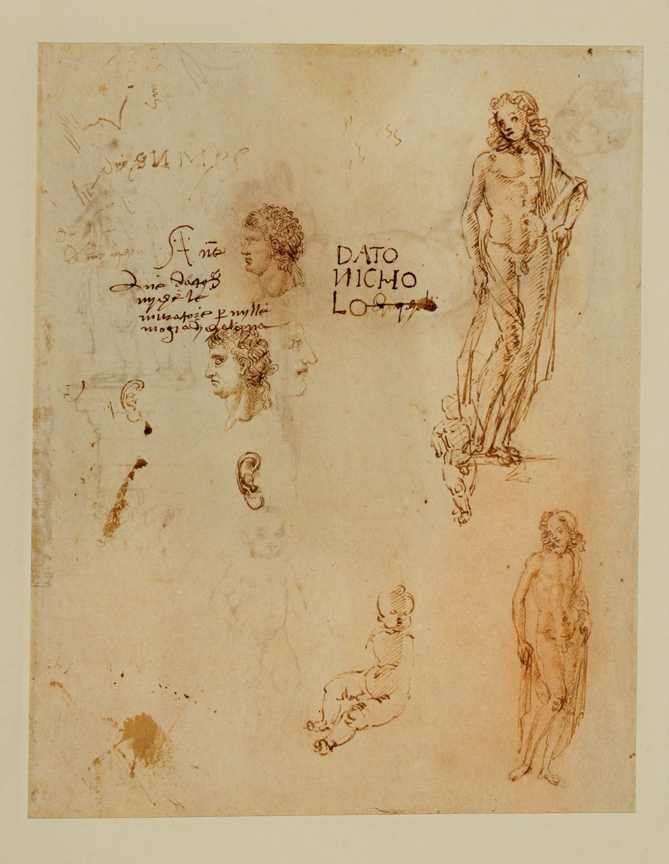 Trzy profile, uszy, dwóch Apollosów ... autorstwa Francesco di Simone (attr. to)