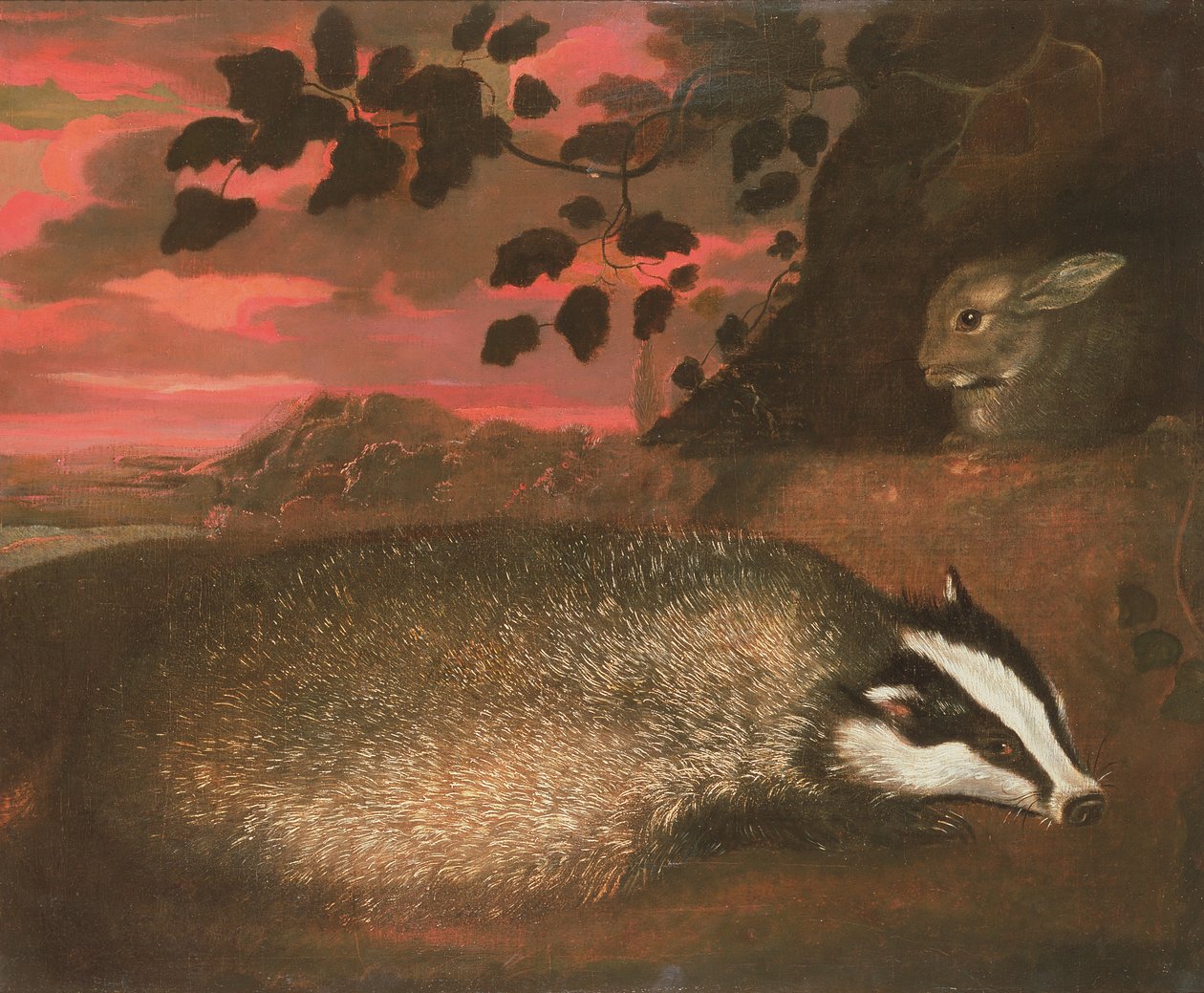 Borsuk, XVII wiek autorstwa Francis Barlow