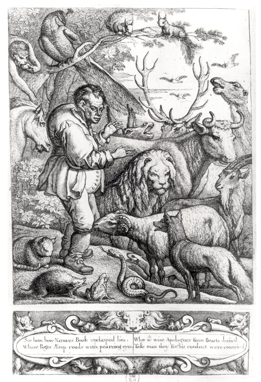 Эзопын үлгэрийн удиртгалын зураг, 1666 поли autorstwa Francis Barlow