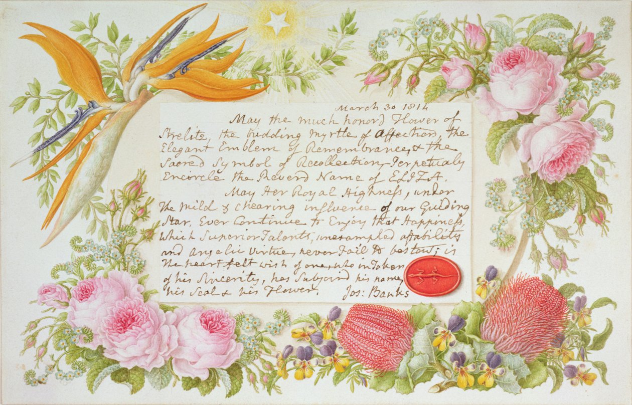 Otoczka z kwiatów mieszanych z napisem Joseph Banks, 1814 (wc na papierze) autorstwa Francis Bauer
