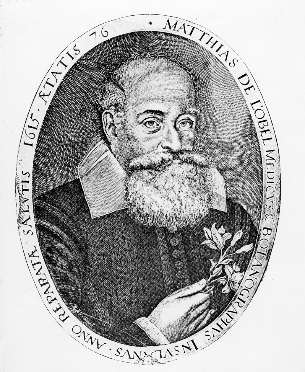 Maciej z Obeli autorstwa Francis Delaram