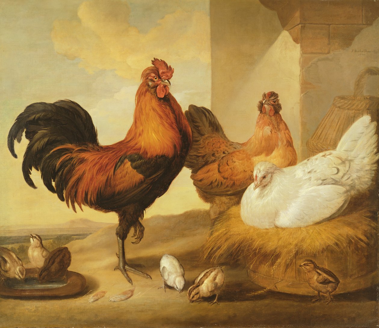 Kogut domowy, kury i pisklęta, 1655 autorstwa Francis Barlow