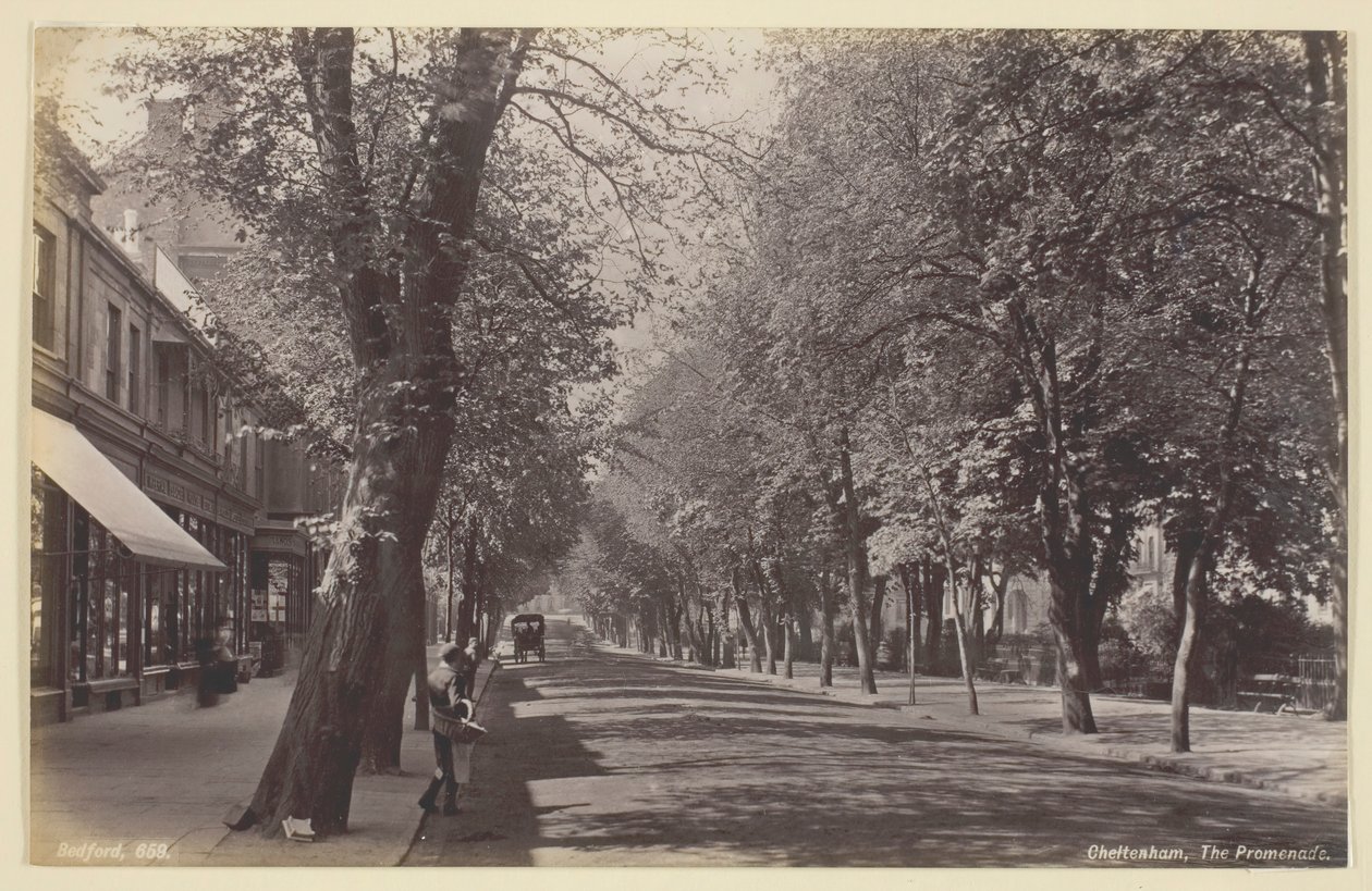 Cheltenham, Promenada, 186094. autorstwa Francis Bedford