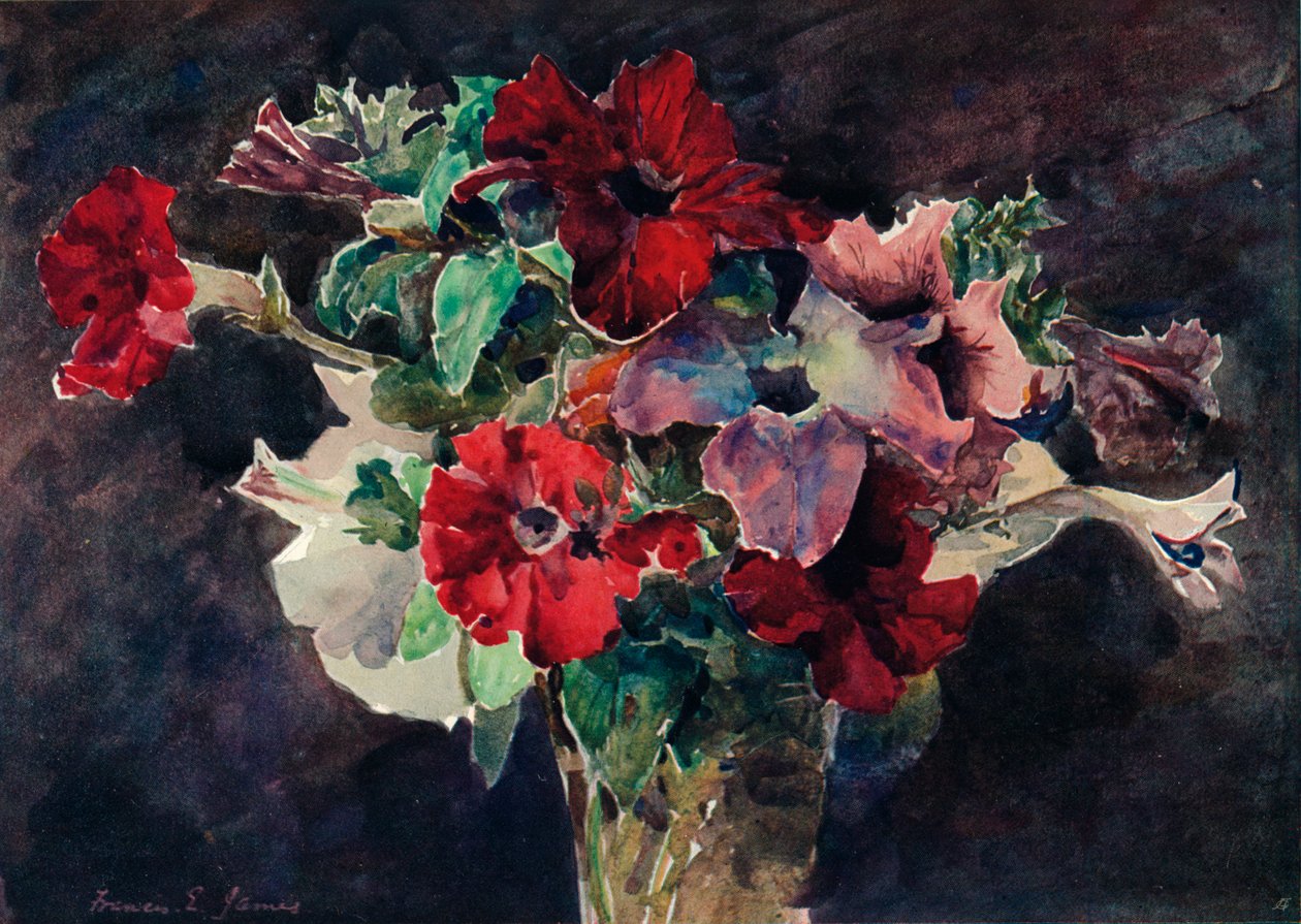 Petunie, ok. 1869-1906, 1906 r. autorstwa Francis Edward James