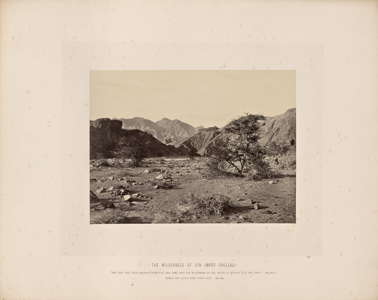 Pustkowie grzechu (Wady Shellal) autorstwa Francis Frith