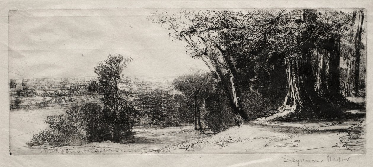 Wcześnie rano, Richmond Park. autorstwa Francis Seymour Haden