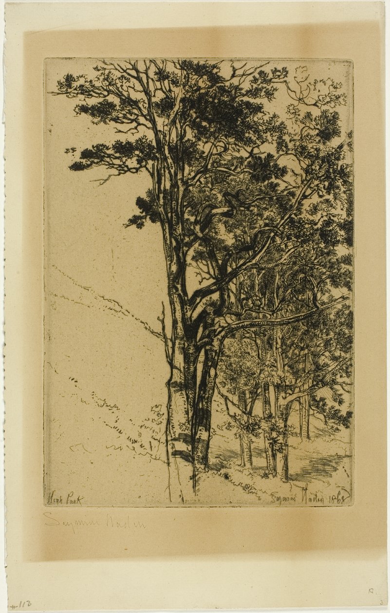 Jodły (Badanie) autorstwa Francis Seymour Haden