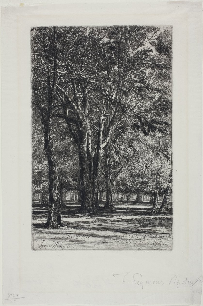 Kensington Gardens, nr II (duża płyta) autorstwa Francis Seymour Haden