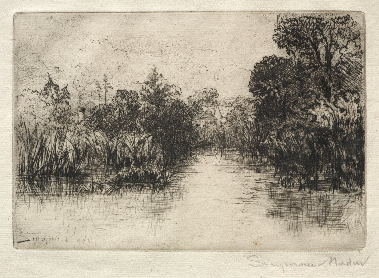 Shere Mill Pond Mały gabinet. autorstwa Francis Seymour Haden