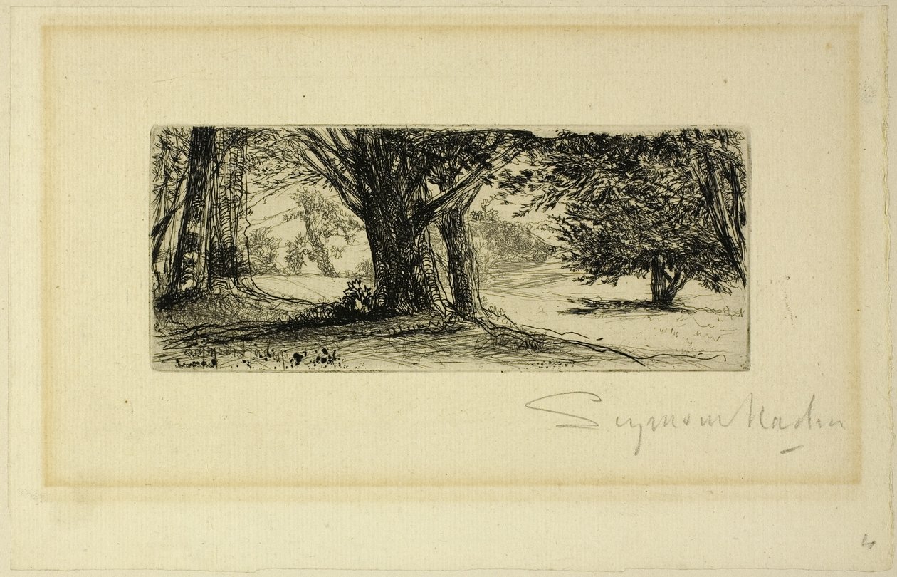 Święte Pola autorstwa Francis Seymour Haden