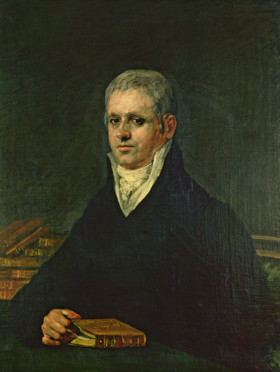 Portret Don Jose Munarriz, 1815 autorstwa Francisco de Goya