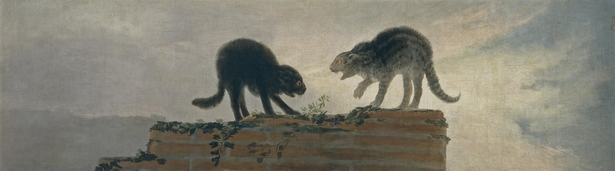 Walka kotów autorstwa Francisco de Goya