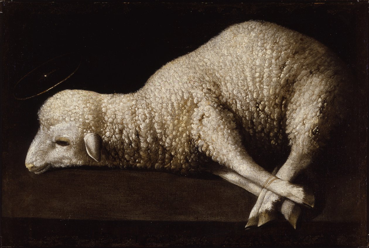 Agnus Dei, c.1635-40 autorstwa Francisco de Zurbaran