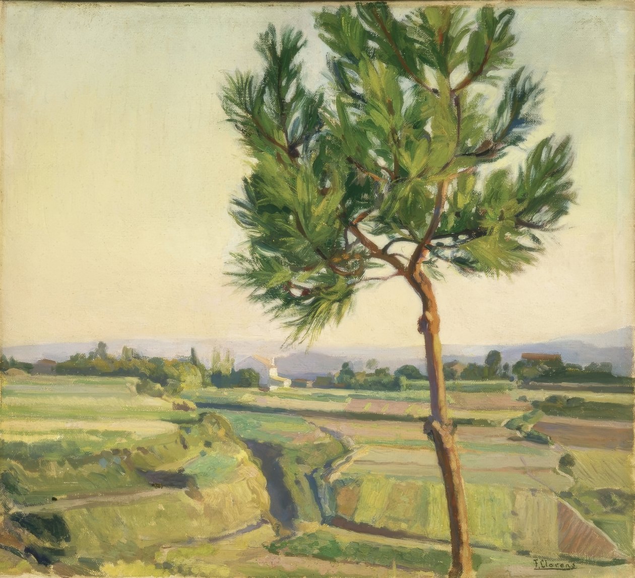 DRZEWO (MERA) -1931–45X50,5– autorstwa Francisco Llorens Diaz