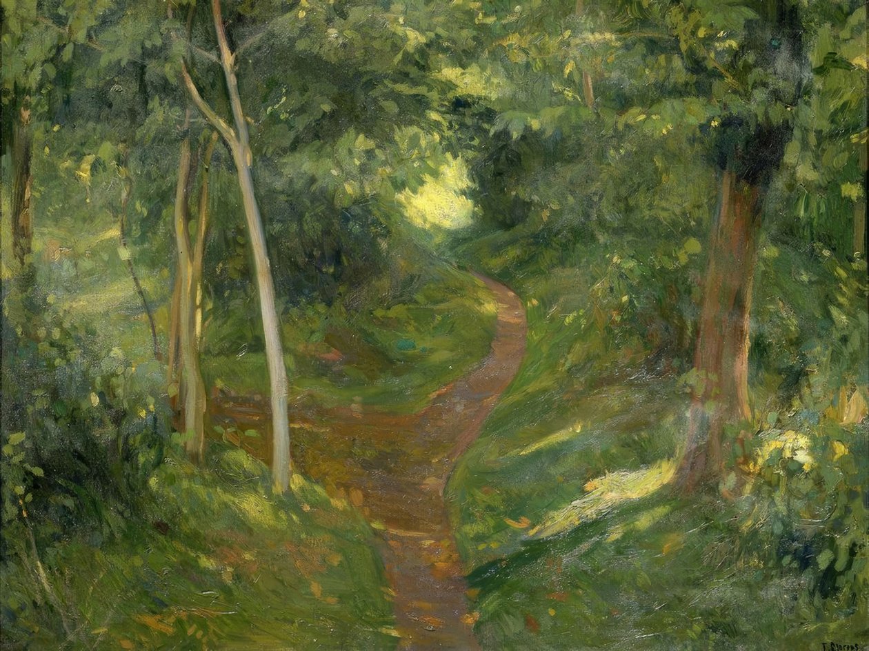 Ścieżka autorstwa Francisco Llorens Diaz
