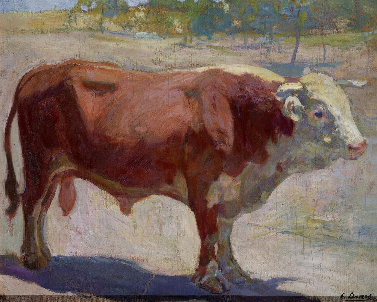 Byk Marelo autorstwa Francisco Llorens Diaz