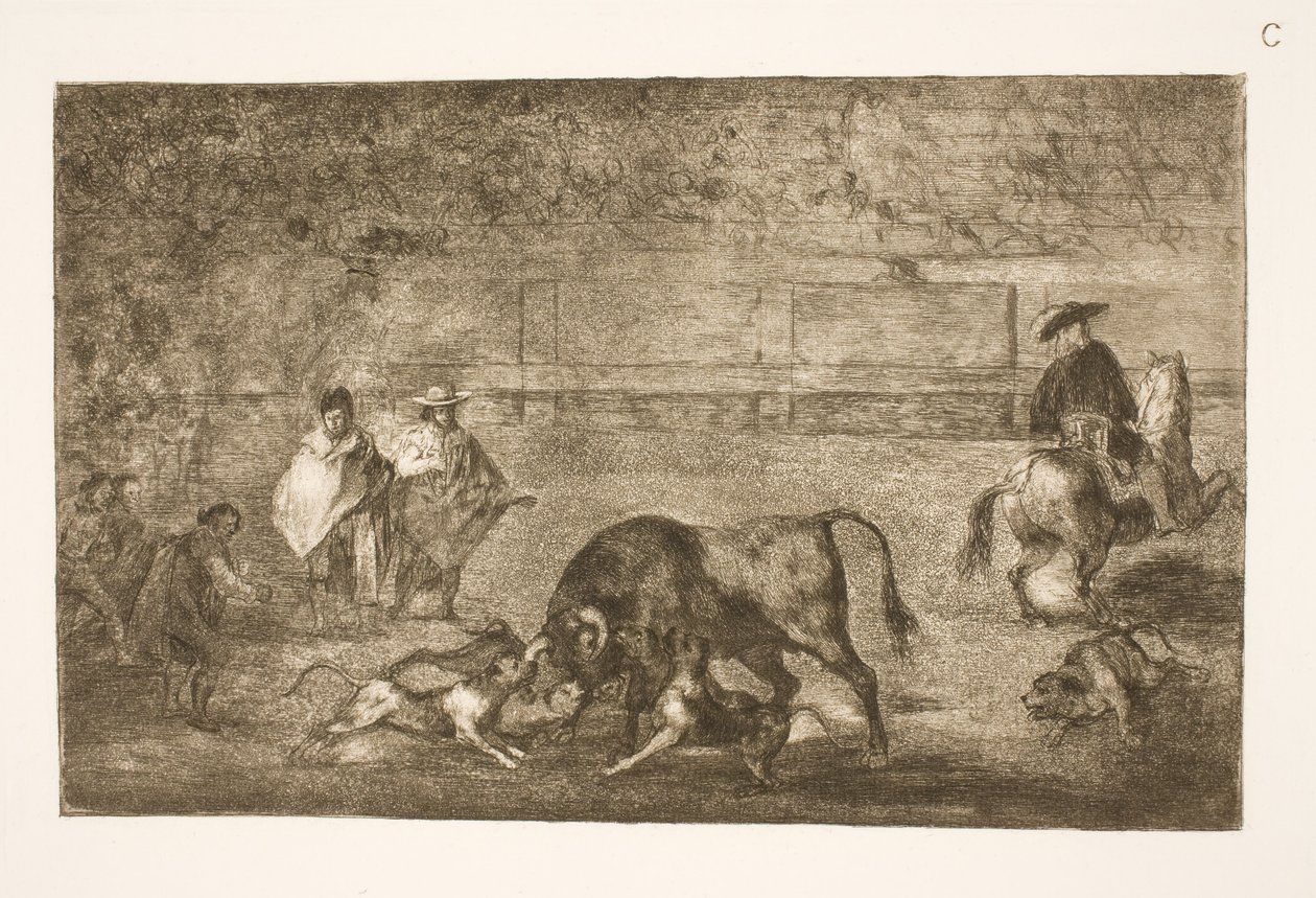 Psy są wypolerowane na byka autorstwa Francisco de Goya