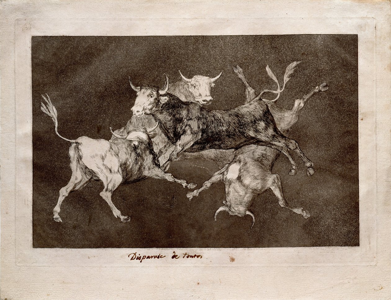 Głupiec autorstwa Francisco de Goya