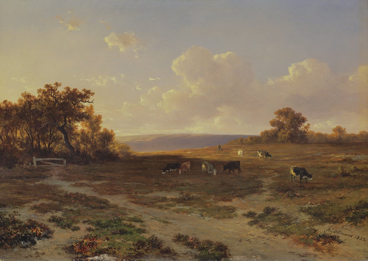 Krajobraz wrzosowy z krowami, 1852 autorstwa Francois Auguste Ortmans