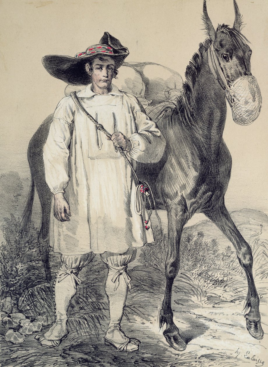 Solarz z Batz autorstwa Francois Hippolyte Lalaisse