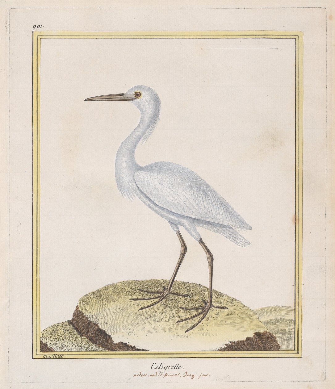 Czapla Czapla, 1770-86. autorstwa Francois Nicolas Martinet