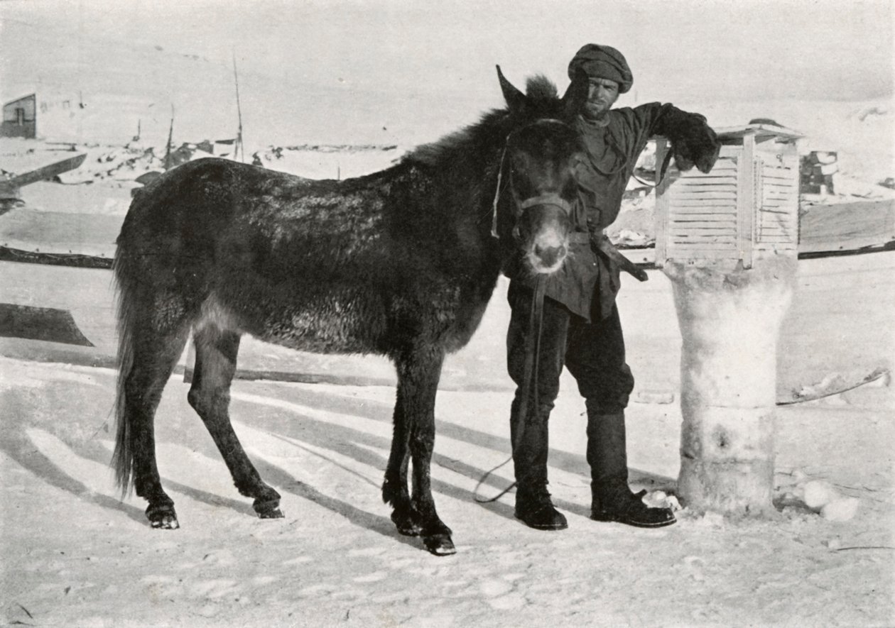 Gran z Mule Lal Khan, c1911, 1913 autorstwa Frank Debenham