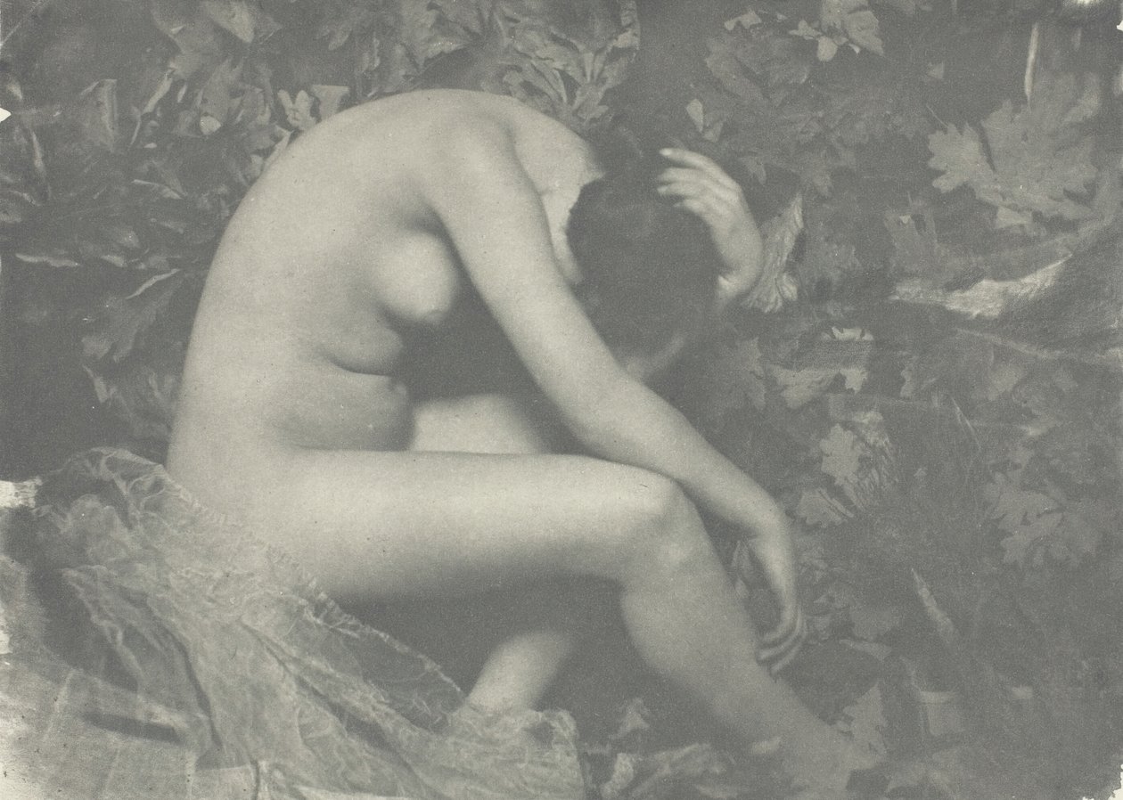 Cykada, 1898. autorstwa Frank Eugene